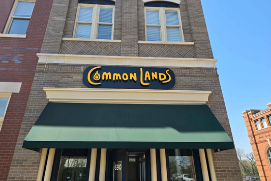How to Build a TCG Store, Part 6: The Sign Is Up - Meet Common Lands